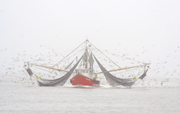 Shrimper in Fog